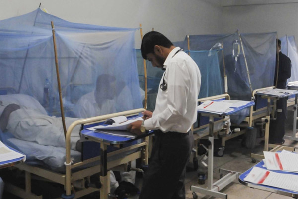 dengue cases report in Pakistan